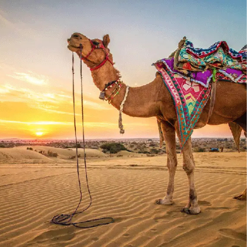 rajasthantours